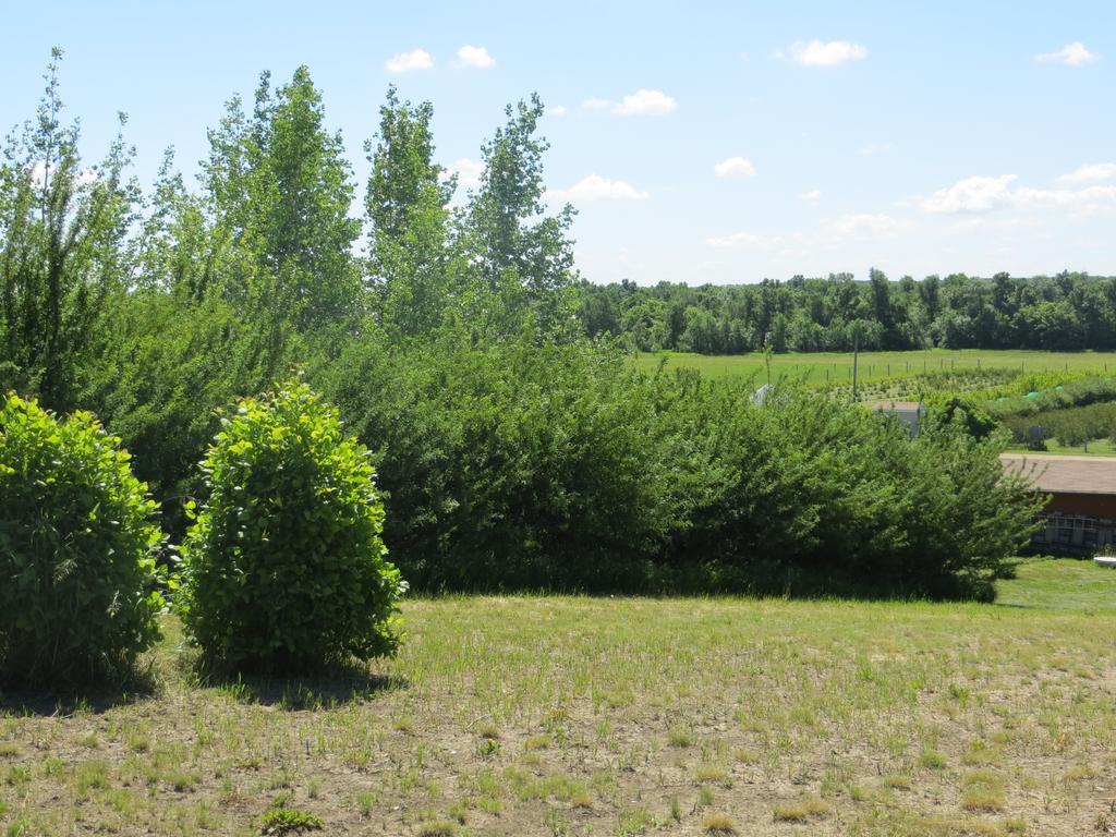 Orchard View Bed And Breakfast Мус-Джо Екстер'єр фото