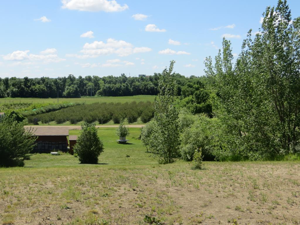 Orchard View Bed And Breakfast Мус-Джо Екстер'єр фото